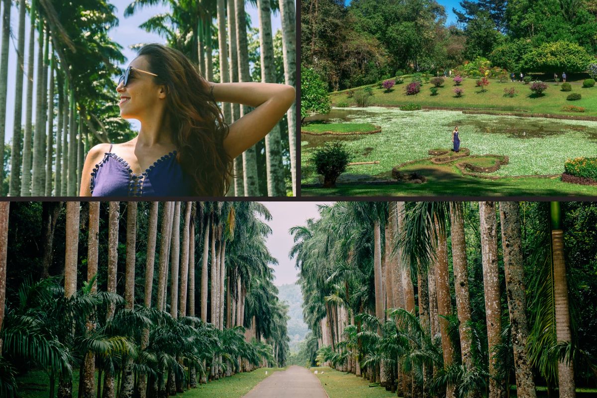 21 Things to do in Sri Lanka botanical gardens